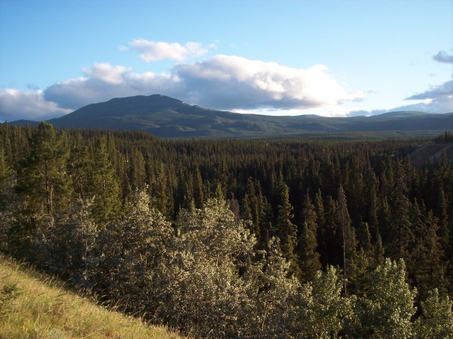 View from Wolf Creek ridge