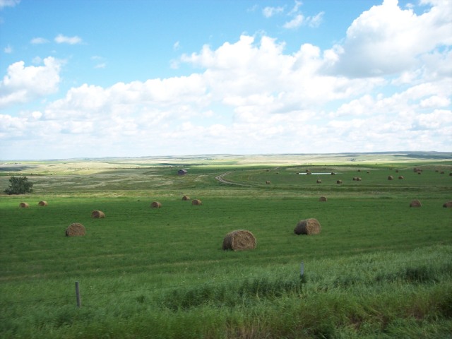 Alberta farmland
